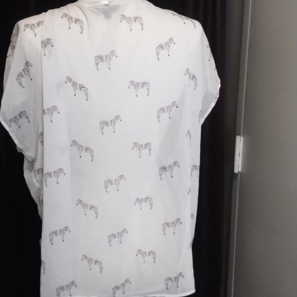 Rainbow Zebra-Print Sheer Blouse - Picture 3 of 4